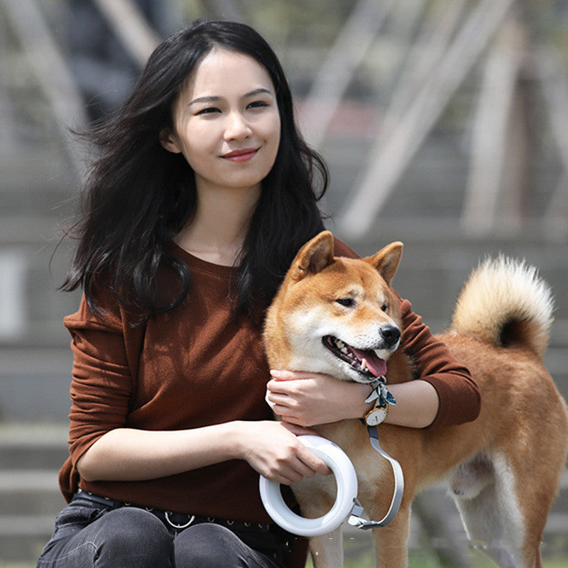 Circle Dog Leash, with nightlight for night dog walk