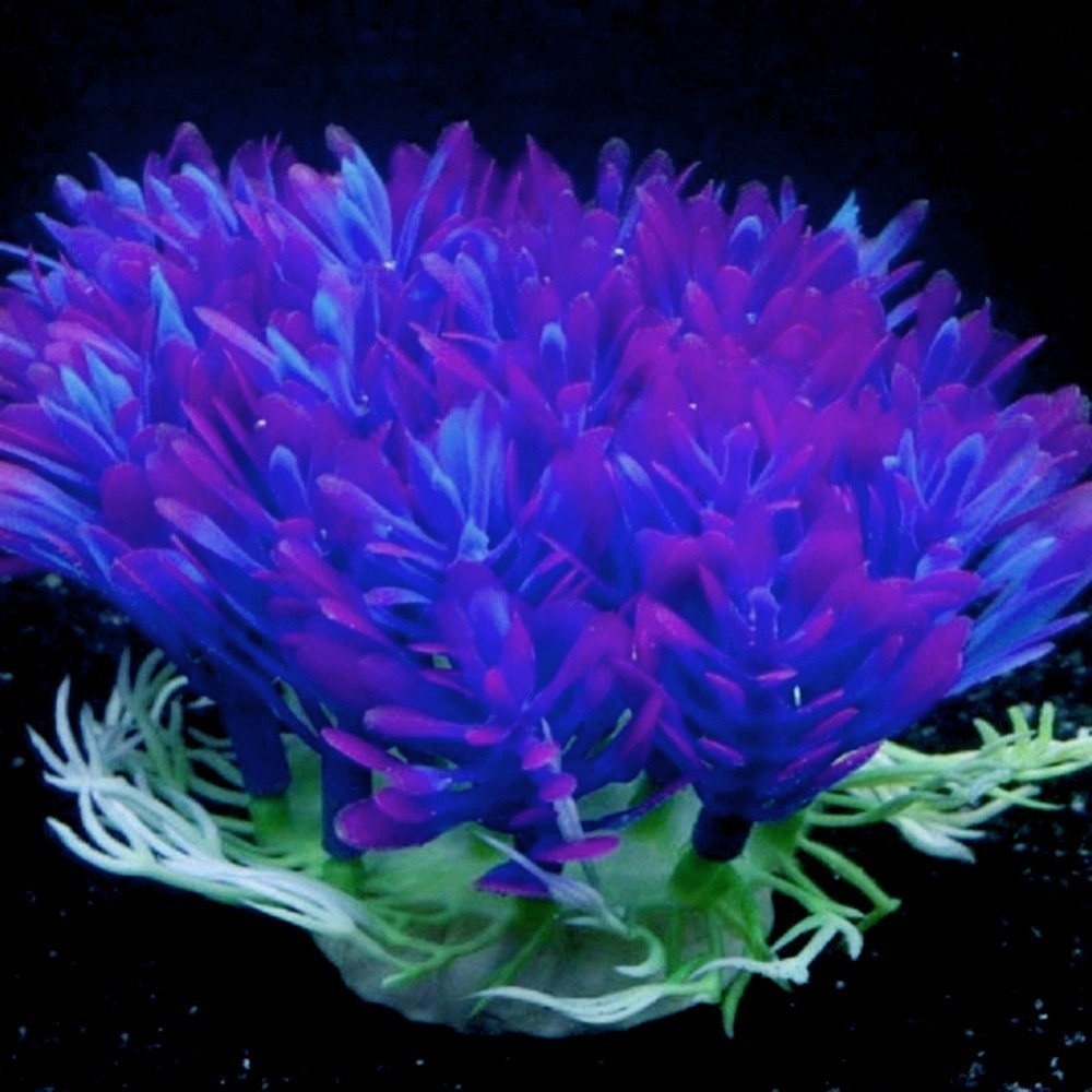 Fish tank coral plant