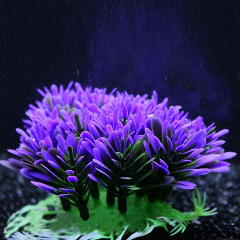 Fish tank coral plant