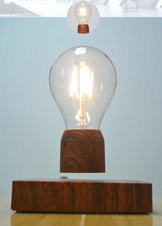 Future Levitating Light Bulb
