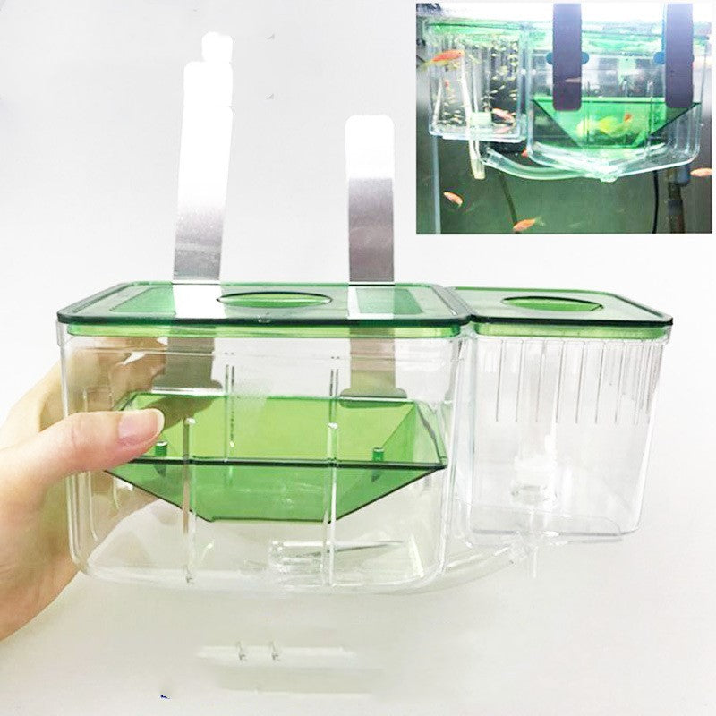 cleaning tank fish box