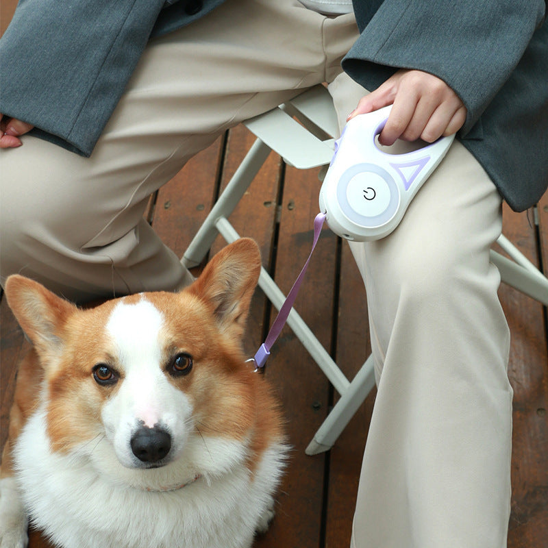 Retractable Leash And Dog Collar Spotlight Automatic Traction Rope For Small Medium Dogs