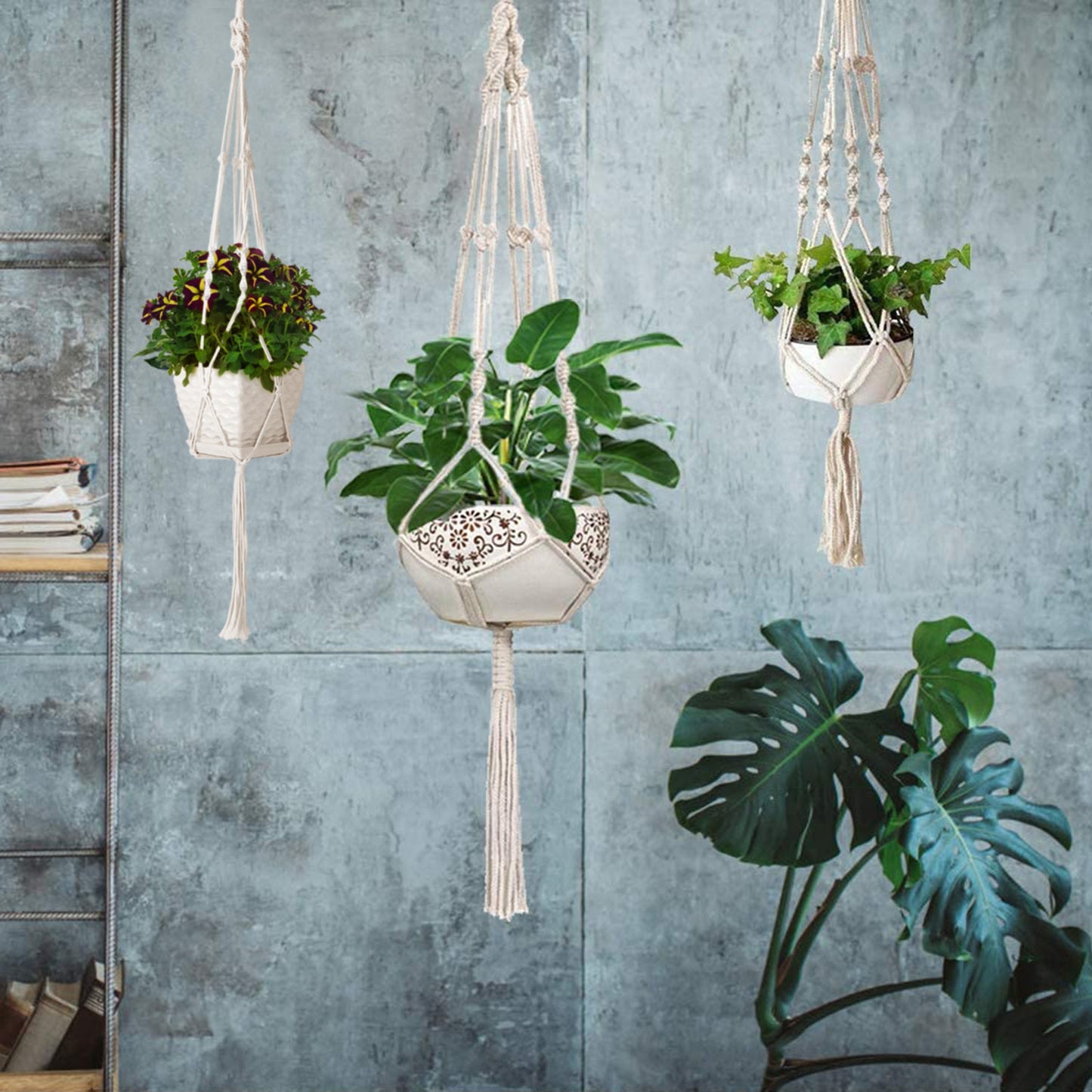 2Pcs Plant Hanger Flowerpot