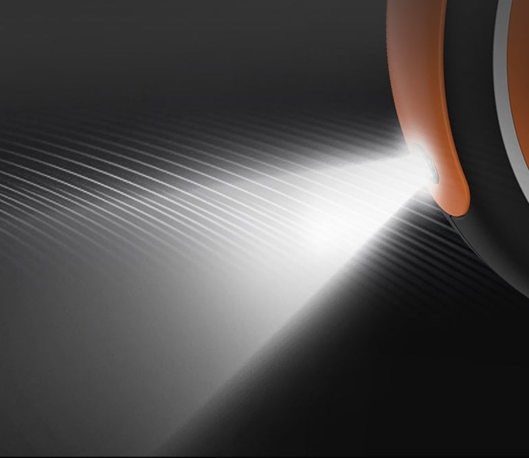 Circle Dog Leash, with nightlight for night dog walk
