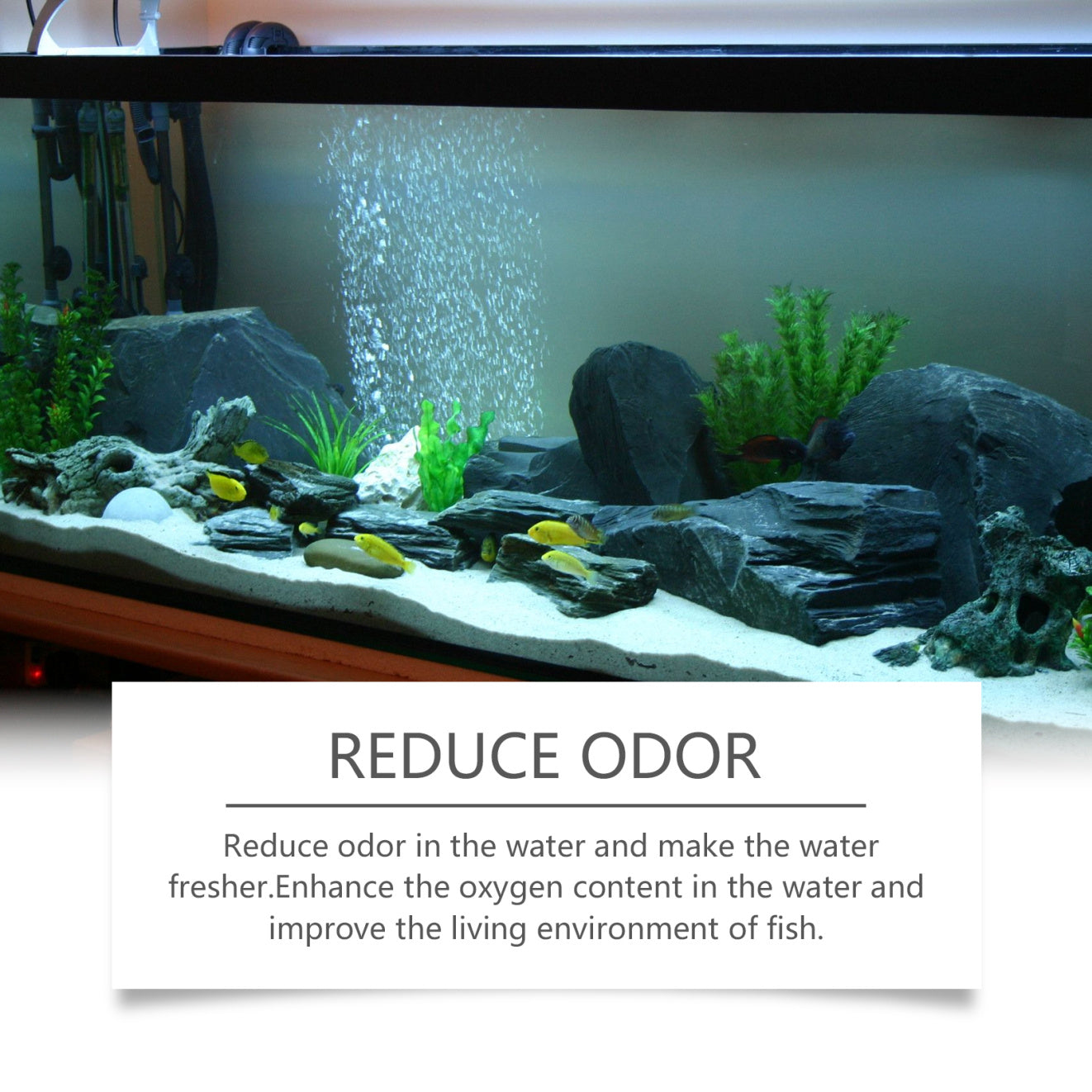 Yegbong Clarifier Aquarium Water Decontamination