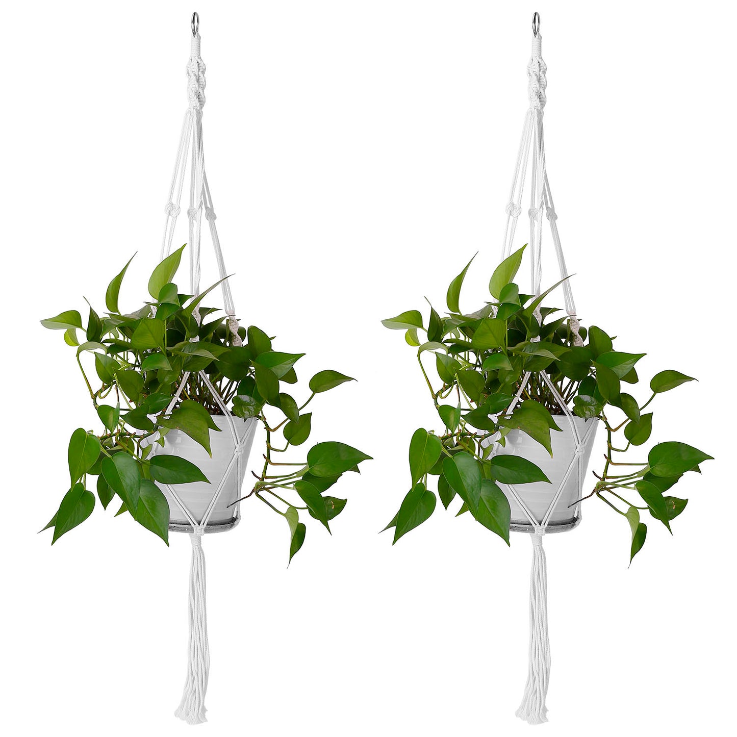 2Pcs Plant Hanger Flowerpot
