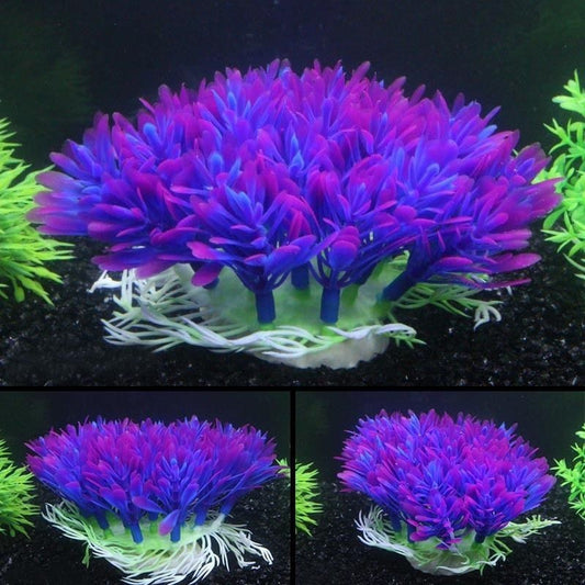 Fish tank coral plant