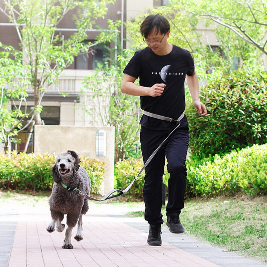 1.8m Long Dog Leash Multifunctional Hands Free Running