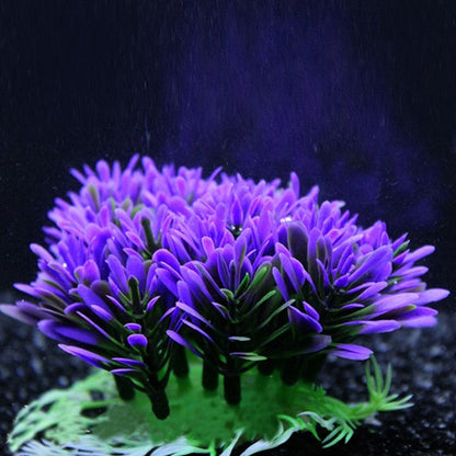 Fish tank coral plant