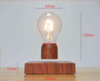 Future Levitating Light Bulb