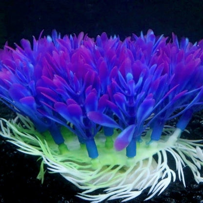 Fish tank coral plant