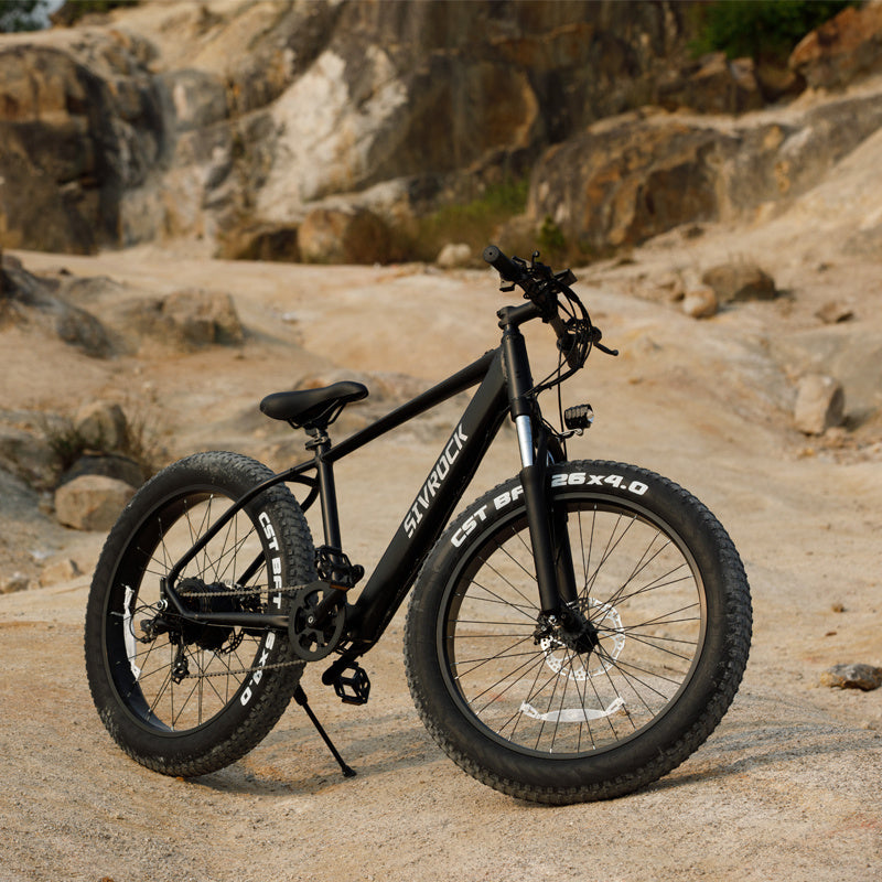 Fat Tire Electric Mountain Bicycle, 1000W Motor 48V 15Ah, UL And GCC Certified