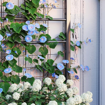 Traditional Chicago Outdoor Decorative Planter