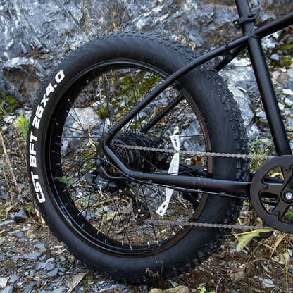 Fat Tire Electric Mountain Bicycle, 1000W Motor 48V 15Ah, UL And GCC Certified